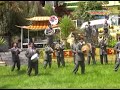 BANDA 
