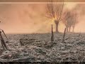 Cancion Triste Cancion Triste