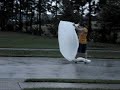 Tropical Storm -Fay-  crazy street surfing
