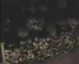 Il cimitero delle Fontanelle - Naples - Part 02