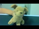 SOCK PUPPETS 2 XDXDXDXDXDXDXDXD