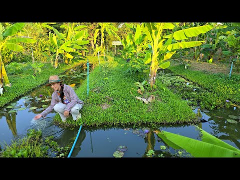 แปลงชนะเลิศอันดับ1 ปี2568 จ.อุบลราชธานี มีทุกอย่างครบจบที่เดียว