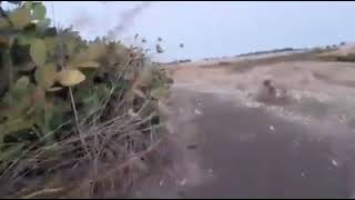 قرية دالية الروحاء قضاء حيفا جرح آخر في خاصرة النكبةالفلسطينية ذاكرة تأبى النسيان