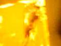 VIDEO_049.mp4