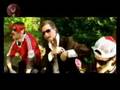 video Mesto petelinov -...