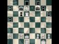 Br41nNinja: Chess Match 35