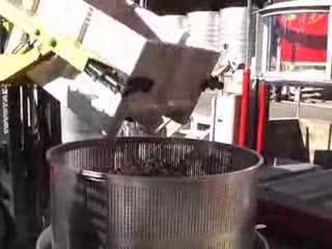 Wine Making - Red Wine