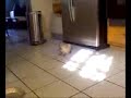 Video from My Phone (1114070941.3g2)