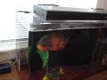 My OSCAR is 1 yr. old