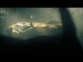 darksiders cg with intros gt h264