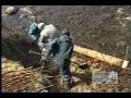 Prezerané video