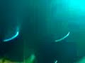 Paramore - When It Rains - Emergency -Decode (Twilight soundtrack)