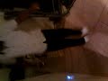 VIDEO0001