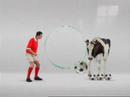 oi oi... chou de bola.. e no www.admb.pt.vu oi oi... chou de bola.. e no www.admb.pt.vu