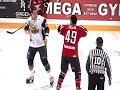 Vachon vs Poulin