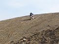 Africa Twin in action
