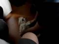 Dog Breaking Dance