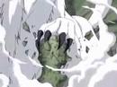 kiba e akamaru cane gigante