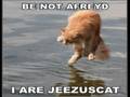 LOLCATS