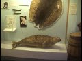 Polar museum Tromso, deel 2