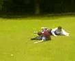 videos de sliding down bank!!
