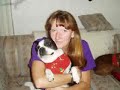 A Tribute to our Boston Terrier - Bosley A Tribute to our Boston Terrier - Bosley