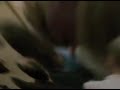 The LEV Foundation - Holiday Wishes