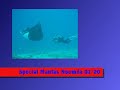 New Caledonia Video