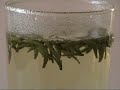 Sichuan Green Needles - ett grönt te Sichuan Green Needles - ett grönt te