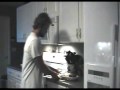 the fly
