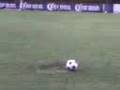 PeNaL dEl RiCkY