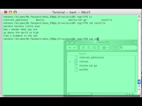 how to use wc command in linux