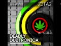 140 Z3ta 2 and Z3ta+ Vst Presets - Dubstep, Future Garage, DnB, Breakbeat, Ambient Dub