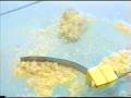 videos de Artificial muscle Space Dust Wiper  www.environmental-robts.com home of the artificial Muscles