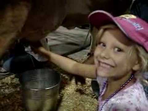 Tamsyn milks a cow at the Maryland ...