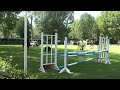 Saltos de caballo en la Hípica