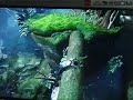 Demo Uncharted Drake\