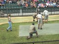 Steve Irwin in Action Steve Irwin in Action