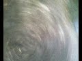 saut dirt