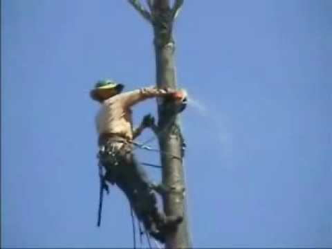 Caídas, golpes y estupideces de todo tipo 0 Caídas, golpes y estupideces de todo tipo