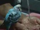 Taking a shower... xD!