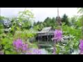 Aaron Shust Give It All Away Official Music Video and Lyrics