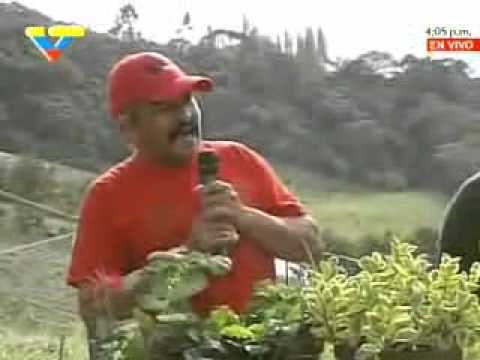 Imagen de previsualización de YouTube