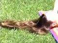 Long hair custom video 1