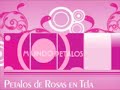 Decoracion de Mesas