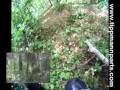 Bob Long MTAC w/ Narrated Woodsball Action