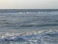 videos de Bredene 2008