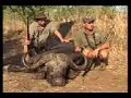 hunting elephant with bow   arrow