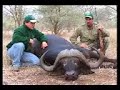 hunting elephant with bow   arrow