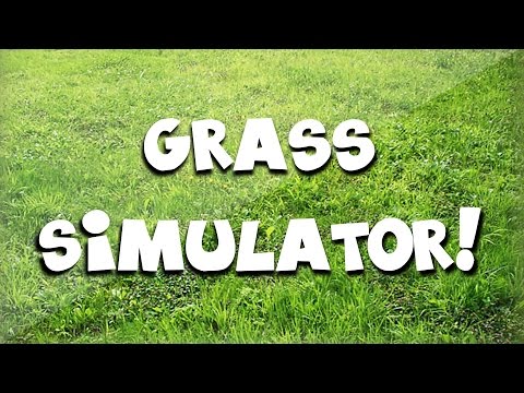 how to grow umbrella grass